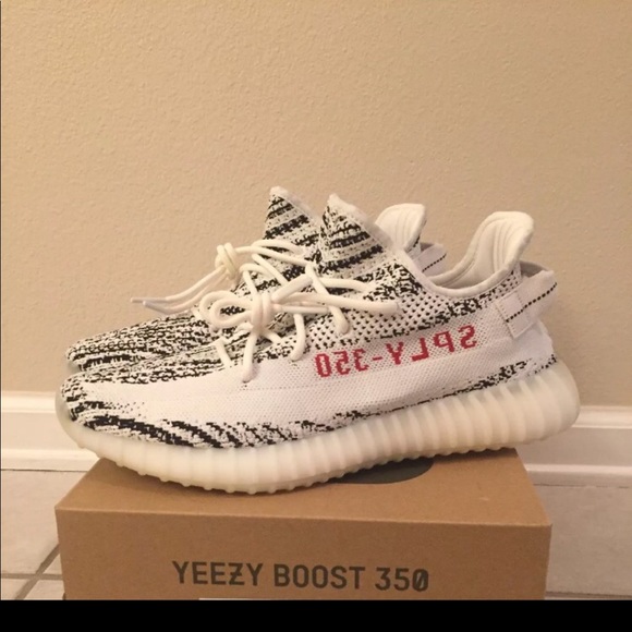 Zebra Yeezy Boost 350